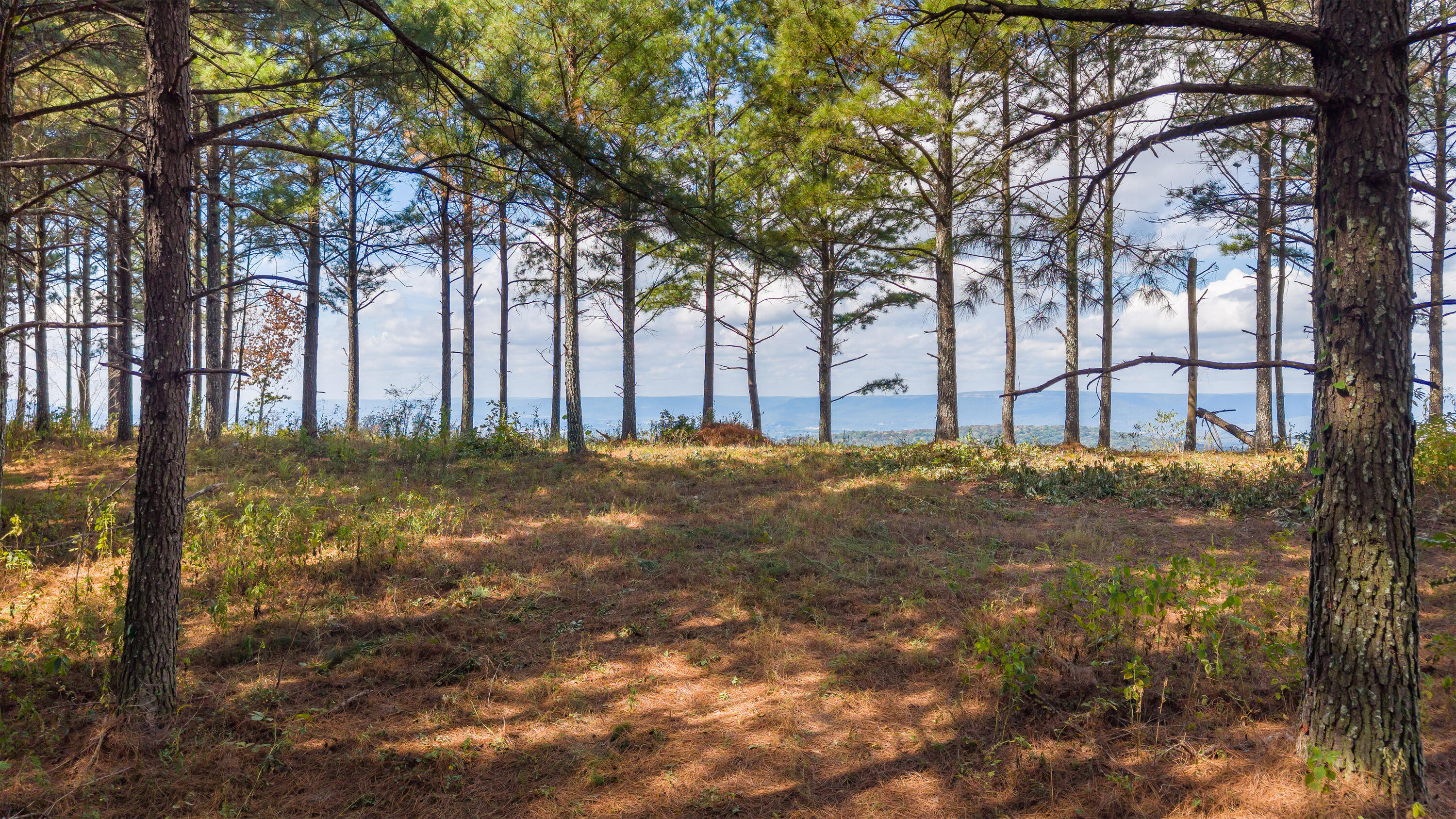 0 Riverbend Road, Unit LOT 2402 Guild, TN 37340 - Photo 11 of 68 2026_09_September_Lot_2402_River_Bend_Rd