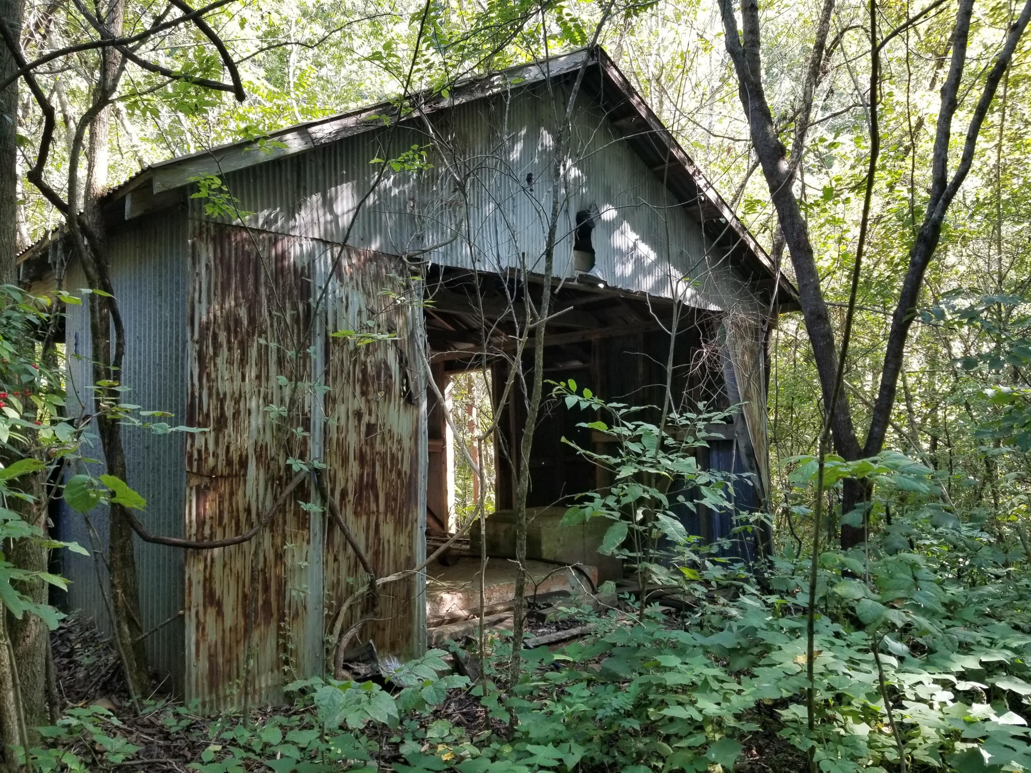 0 Dunlap Hollow Road Friendsville, TN 37737 - Photo 5 of 21 Gallery Image 5