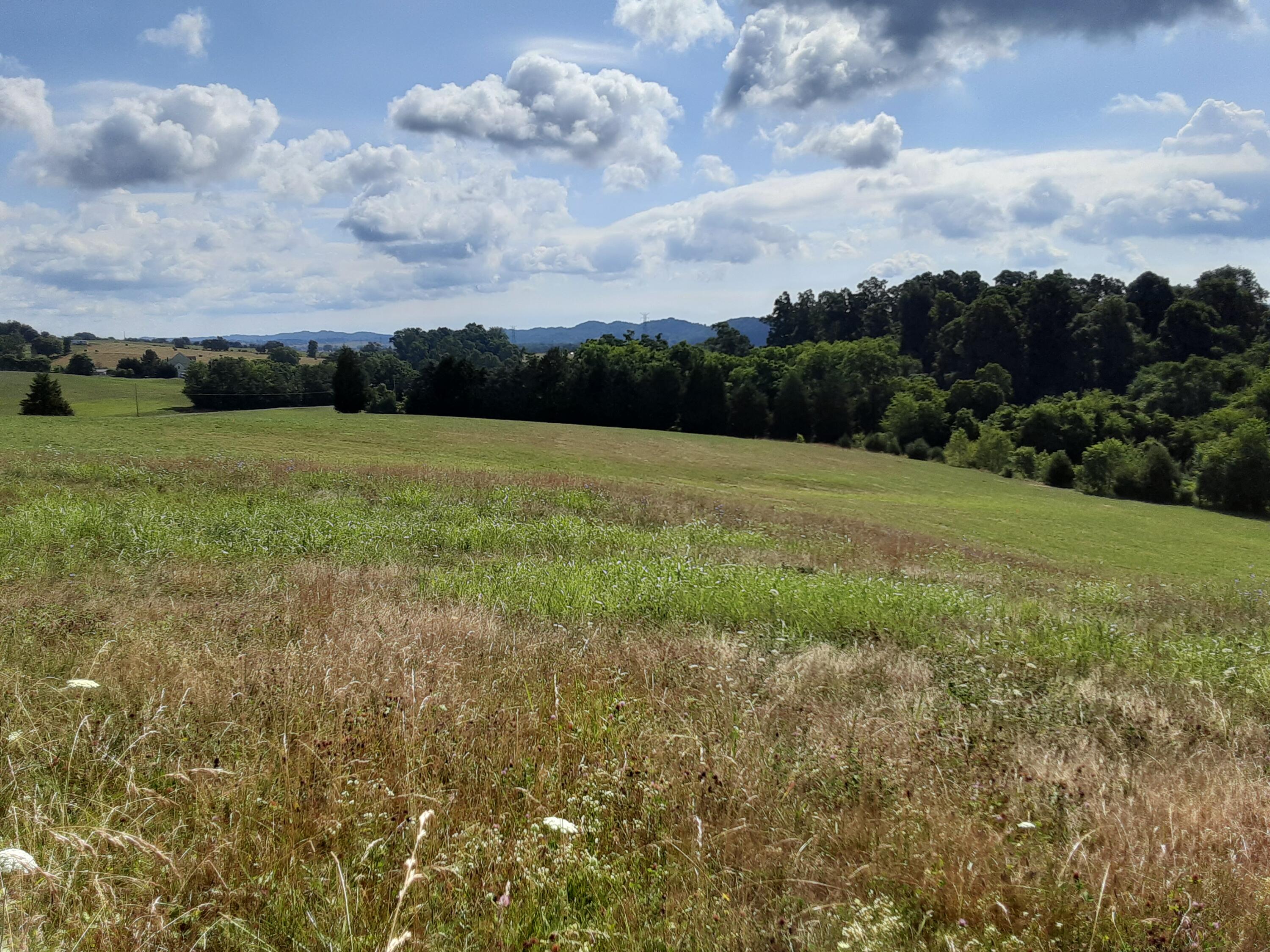 Lot 33 Forgety Road Jefferson City, TN 37760 - Photo 1 of 1 Lot 33