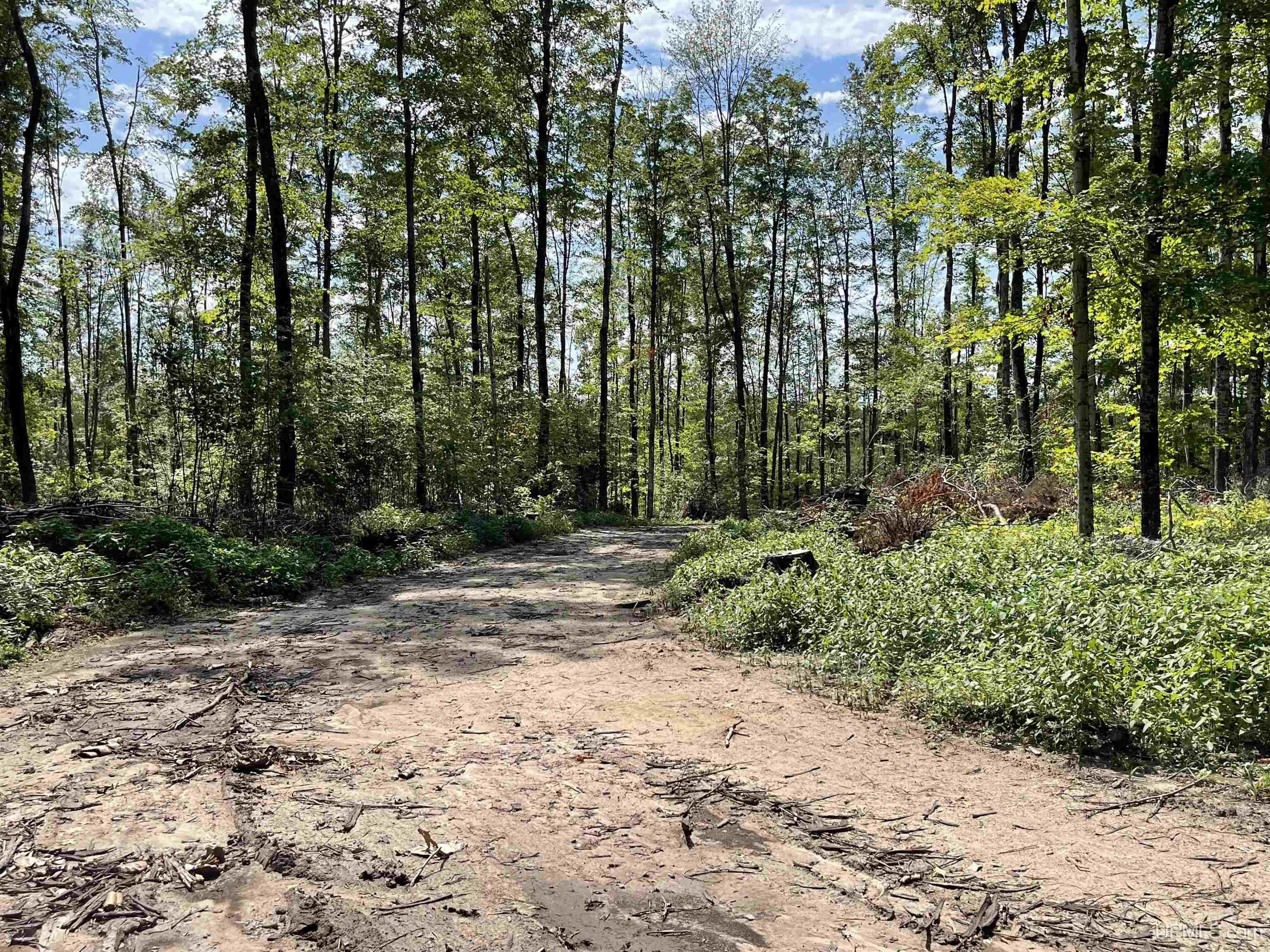 23 Camp 23 Road, Unit NORTH PARCEL Germfask, MI 49836 - Photo 10 of 10
