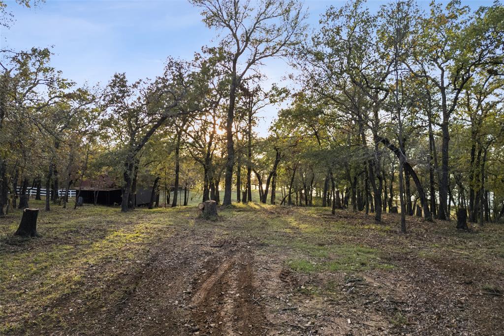 350 West Dickson Lane Oak Point, TX 75068 - Photo 8 of 23 a view of dirt yard with a tree