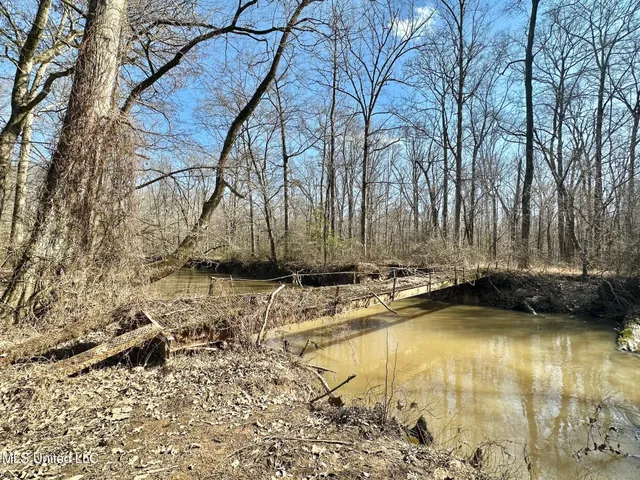 $1,870,000 | 2 Evans Road, Carthage, MS 39051