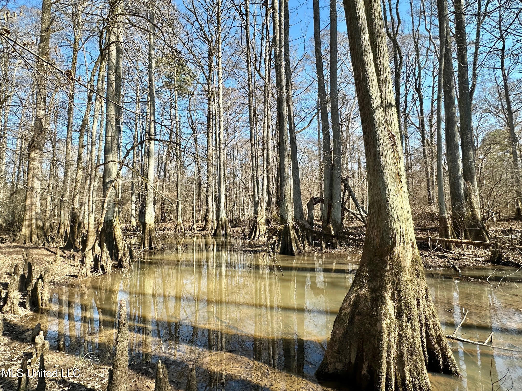 2 Evans Road Carthage, MS 39051 - Photo 12 of 51 65
