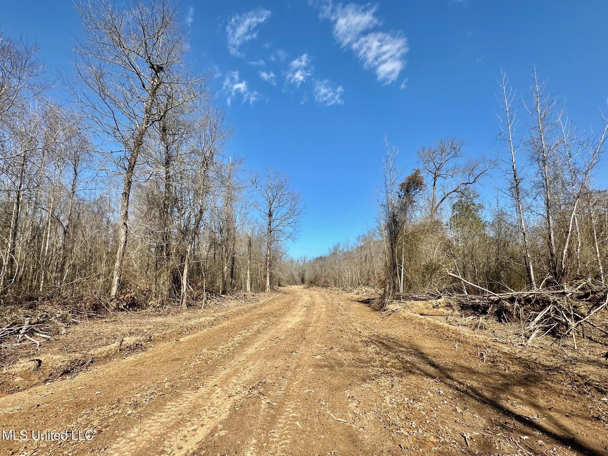 2 Evans Road Carthage, MS 39051 - Photo 16 of 51 92