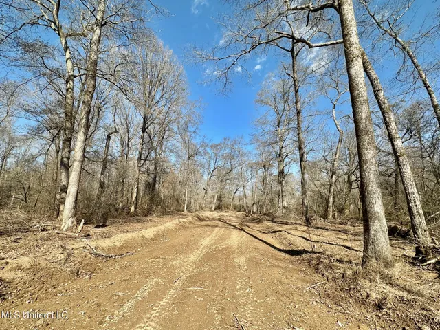 $1,870,000 | 2 Evans Road, Carthage, MS 39051