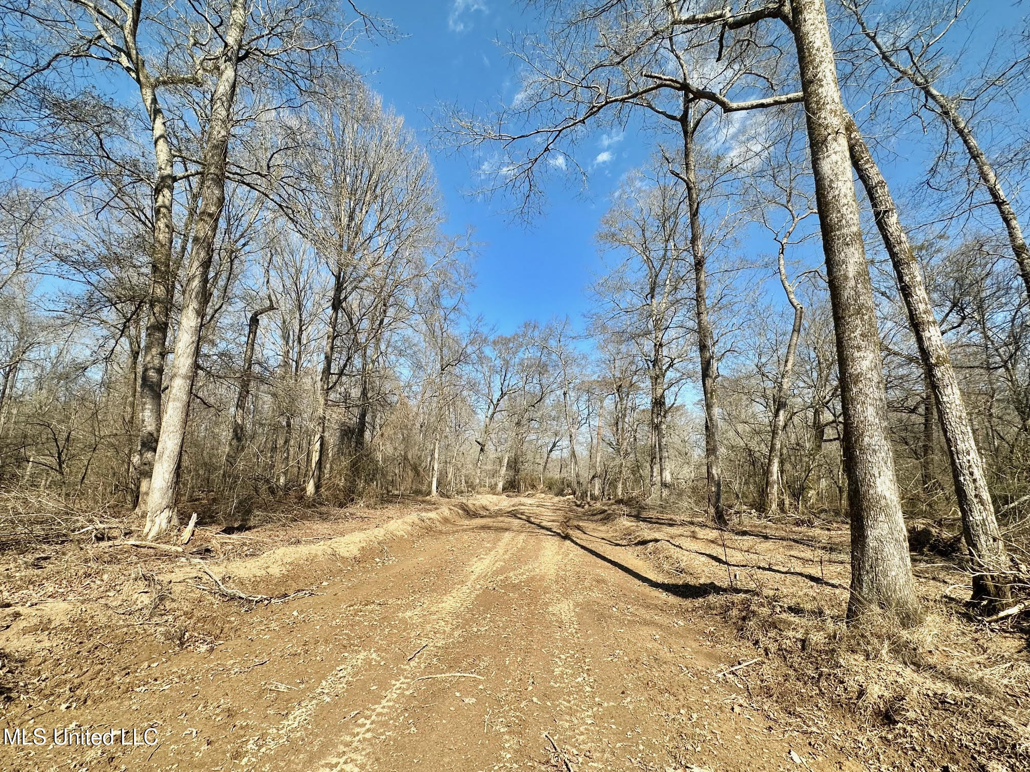 2 Evans Road Carthage, MS 39051 - Photo 17 of 51 93