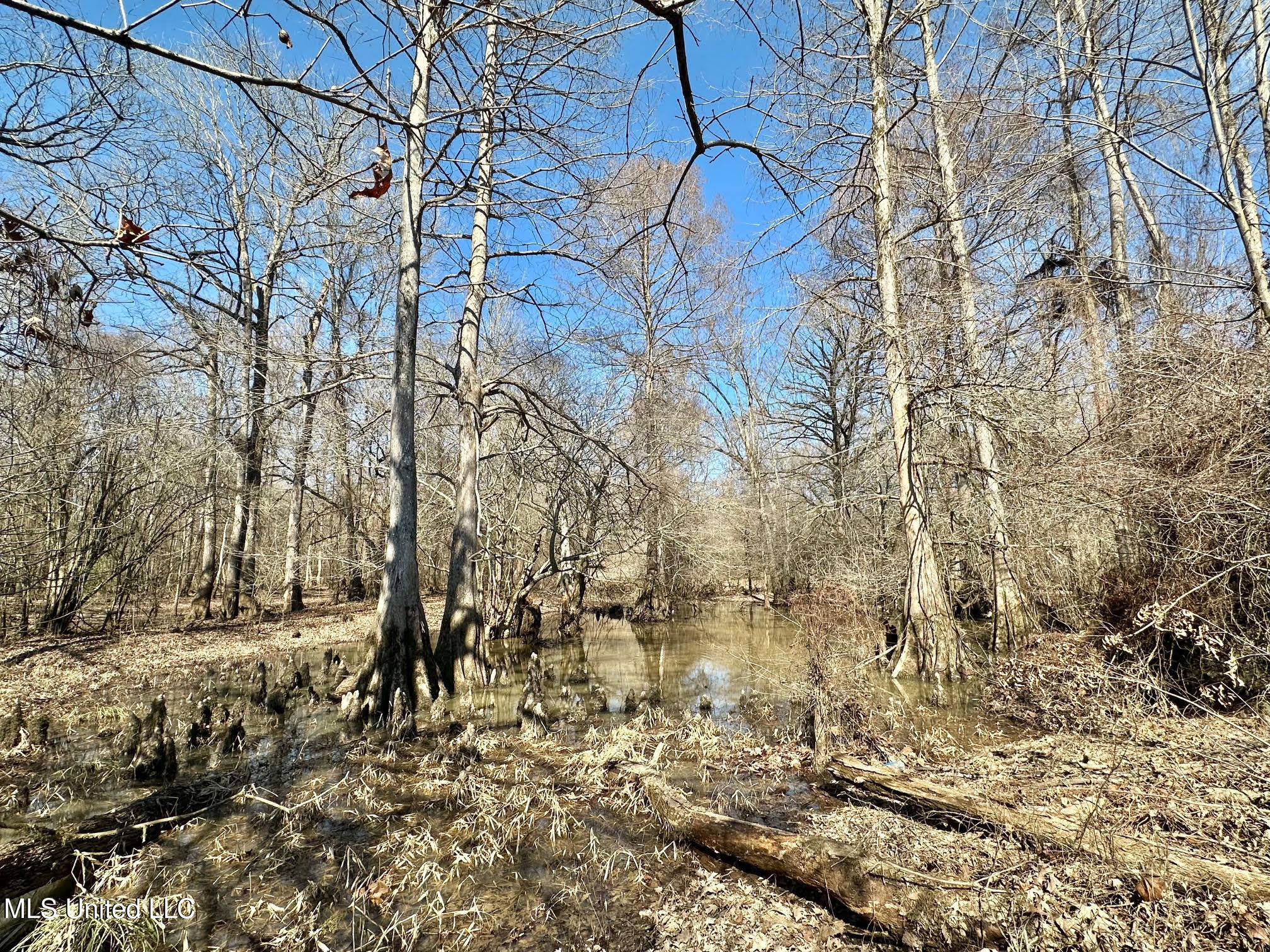 2 Evans Road Carthage, MS 39051 - Photo 18 of 51 94