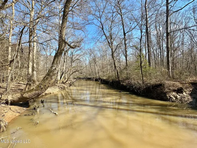 $1,870,000 | 2 Evans Road, Carthage, MS 39051