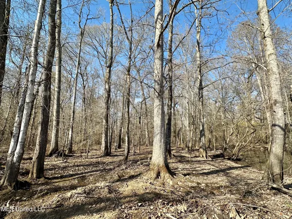 $1,870,000 | 2 Evans Road, Carthage, MS 39051