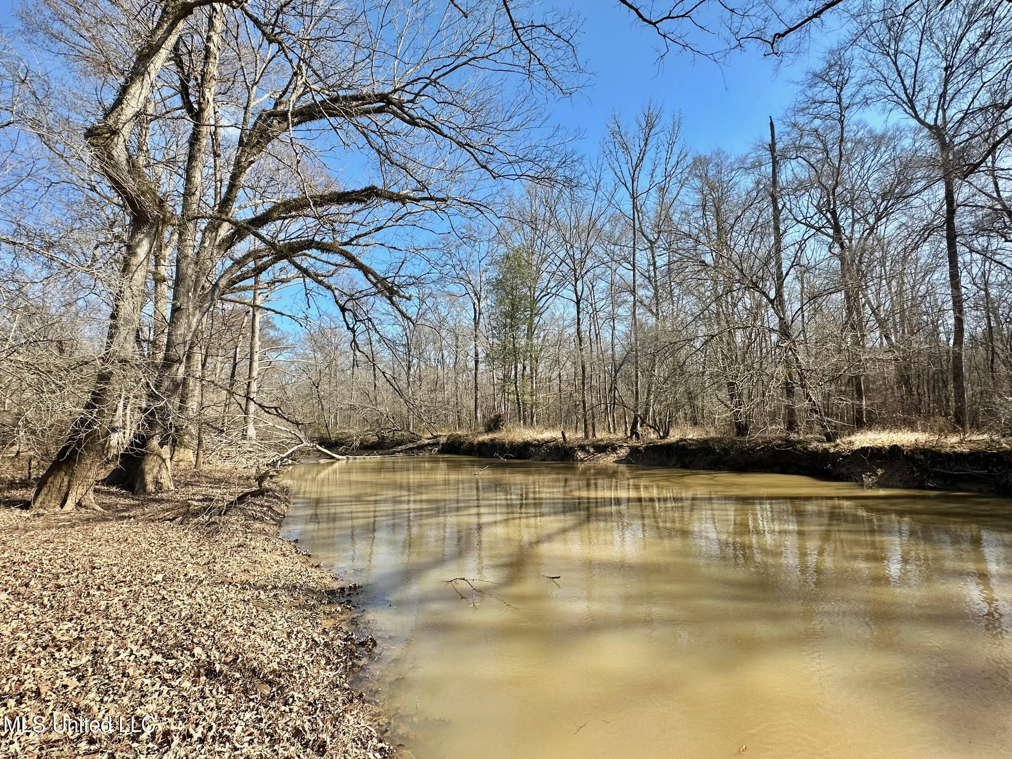 2 Evans Road Carthage, MS 39051 - Photo 22 of 51 99