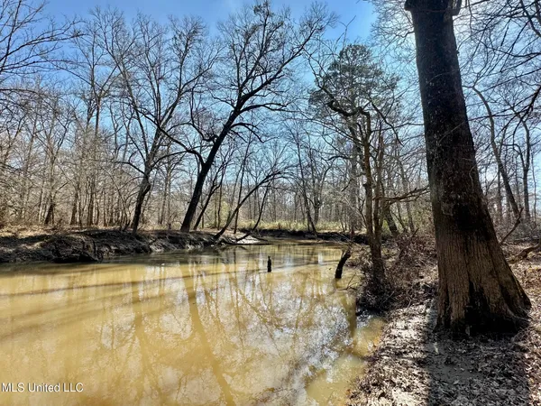 $1,870,000 | 2 Evans Road, Carthage, MS 39051
