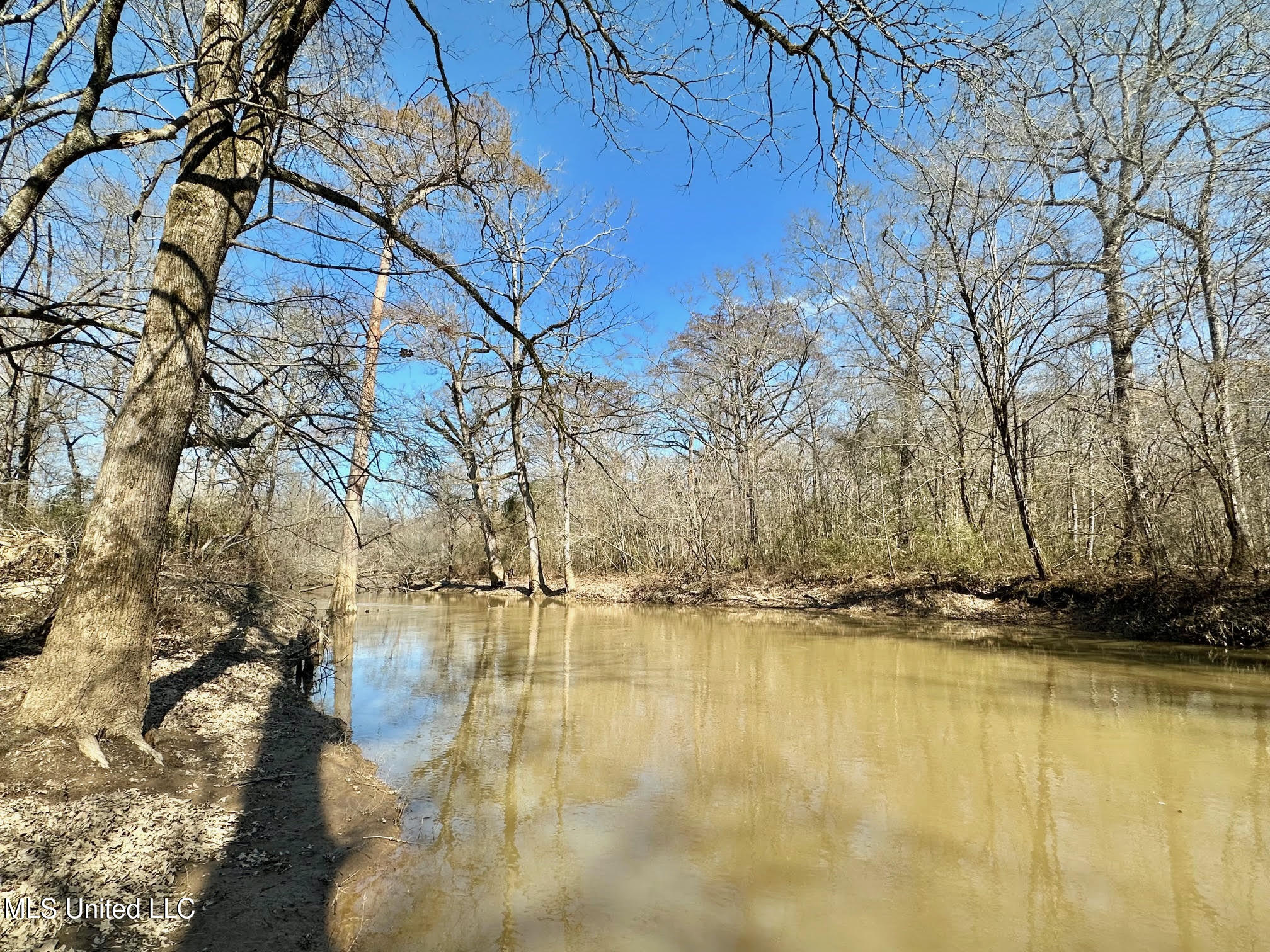 2 Evans Road Carthage, MS 39051 - Photo 24 of 51 101