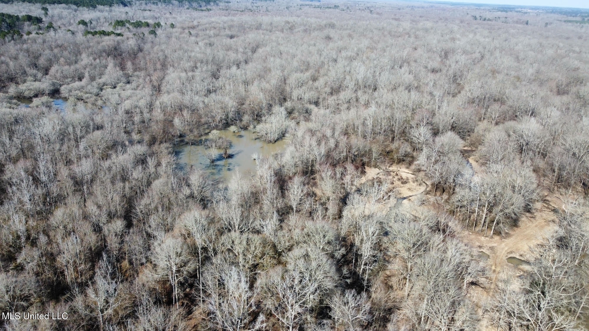 2 Evans Road Carthage, MS 39051 - Photo 25 of 51 102