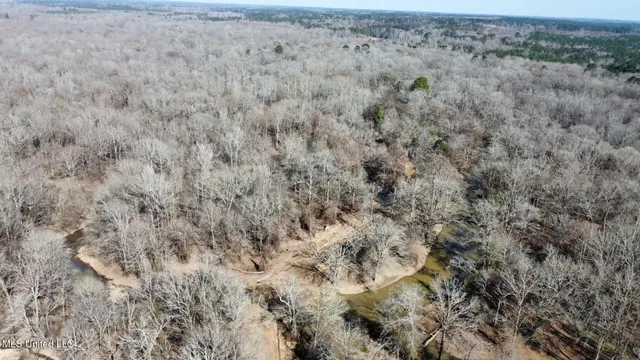 $1,870,000 | 2 Evans Road, Carthage, MS 39051