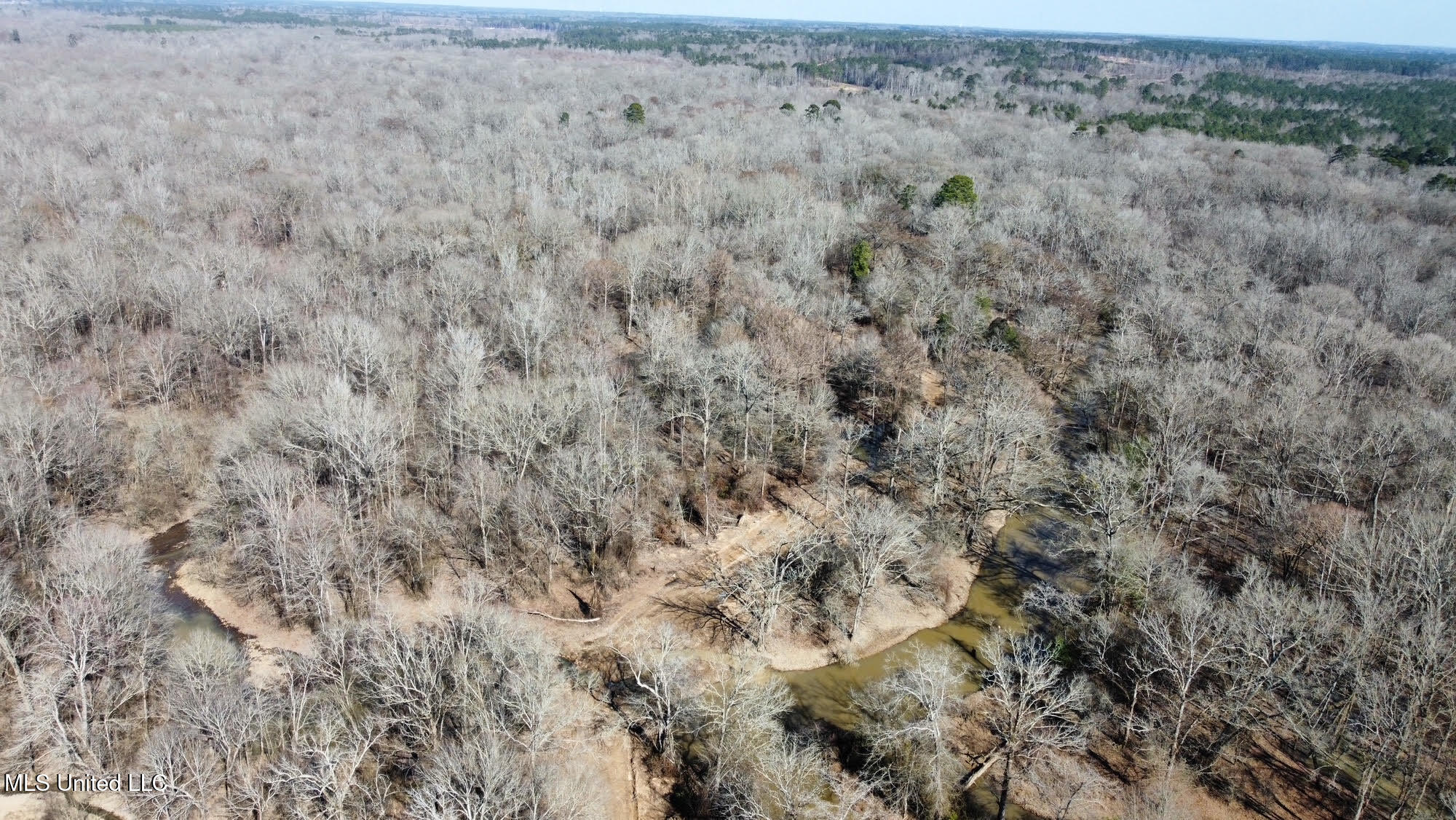 2 Evans Road Carthage, MS 39051 - Photo 26 of 51 103