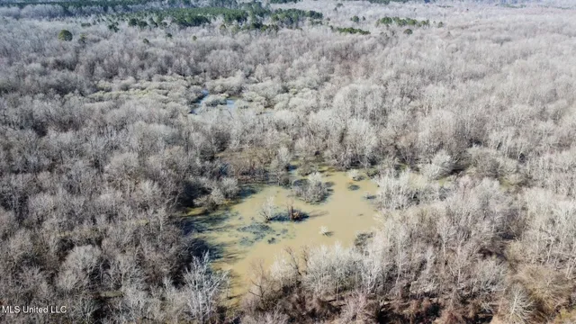 $1,870,000 | 2 Evans Road, Carthage, MS 39051