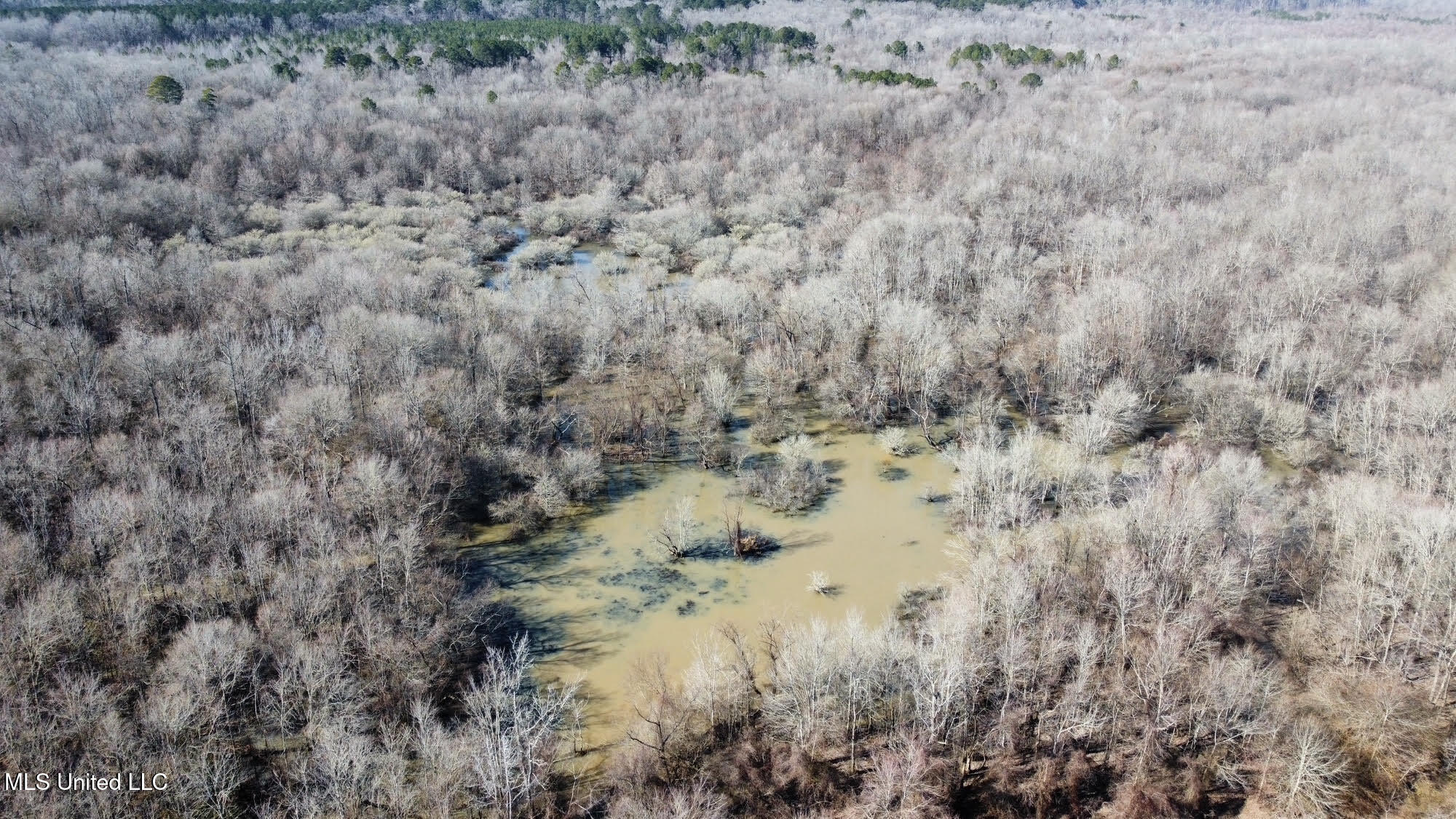 2 Evans Road Carthage, MS 39051 - Photo 27 of 51 104