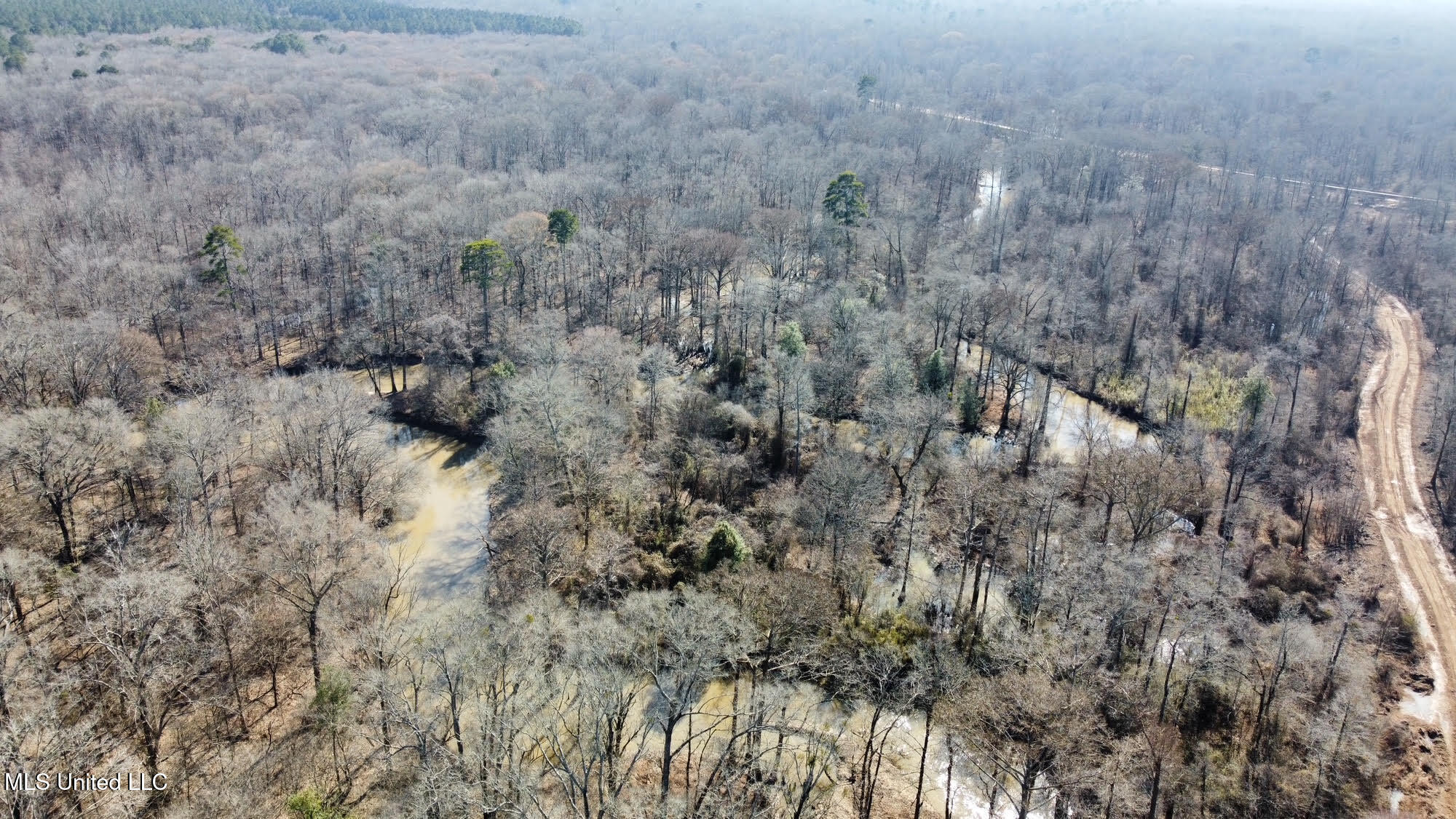 2 Evans Road Carthage, MS 39051 - Photo 30 of 51 107
