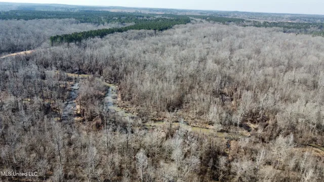 $1,870,000 | 2 Evans Road, Carthage, MS 39051