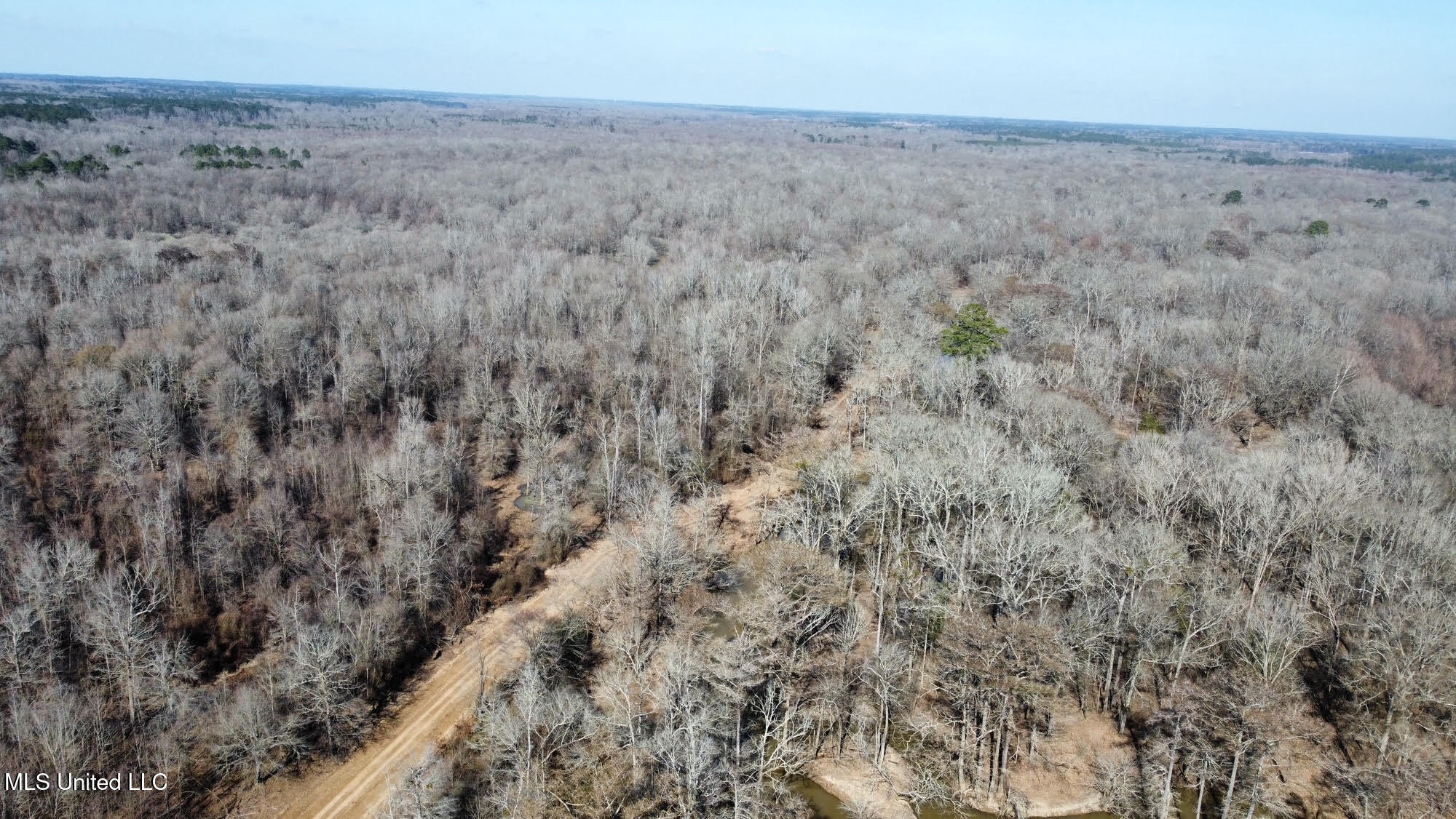 2 Evans Road Carthage, MS 39051 - Photo 38 of 51 115