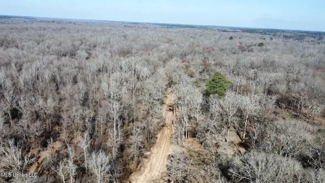 $1,870,000 | 2 Evans Road, Carthage, MS 39051