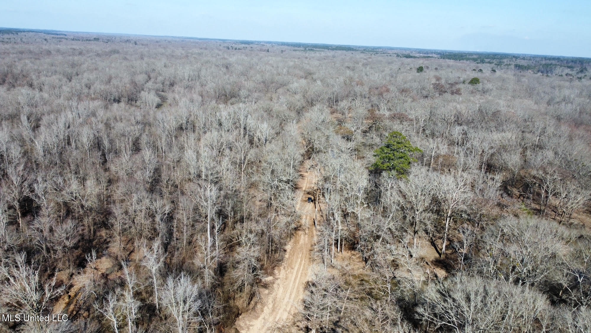 2 Evans Road Carthage, MS 39051 - Photo 39 of 51 116