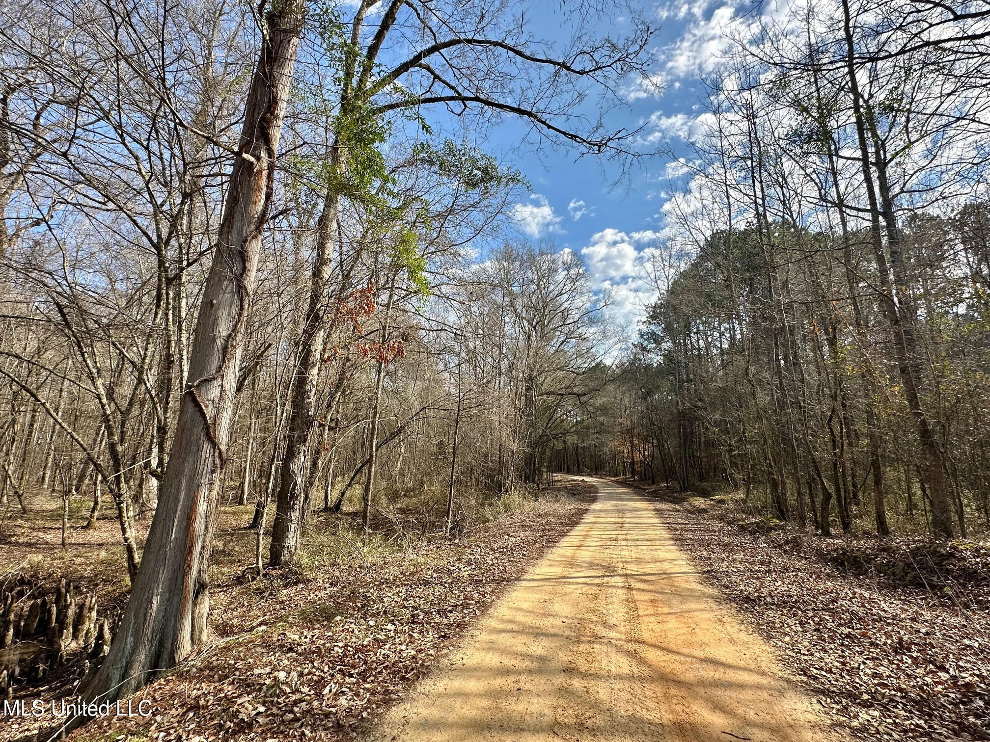 2 Evans Road Carthage, MS 39051 - Photo 4 of 51 3