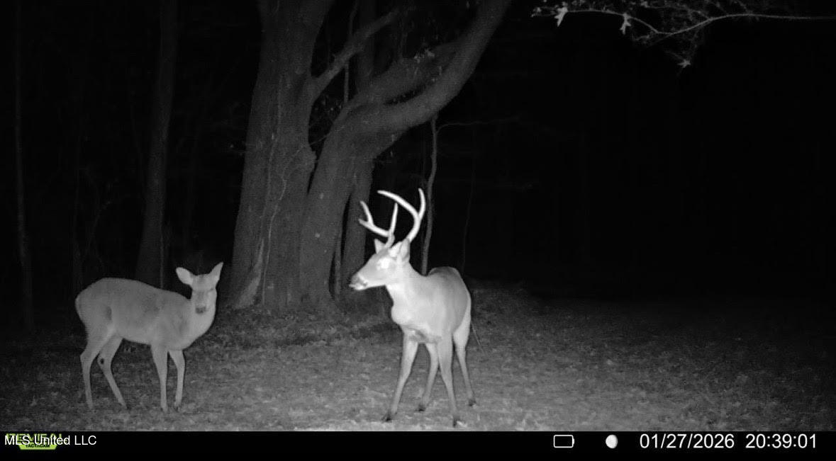 2 Evans Road Carthage, MS 39051 - Photo 44 of 51 156