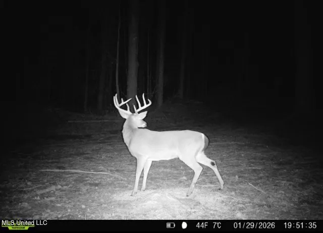 $1,870,000 | 2 Evans Road, Carthage, MS 39051