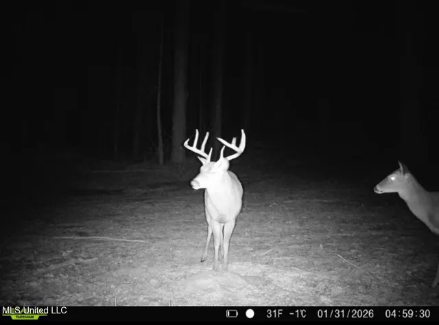 $1,870,000 | 2 Evans Road, Carthage, MS 39051