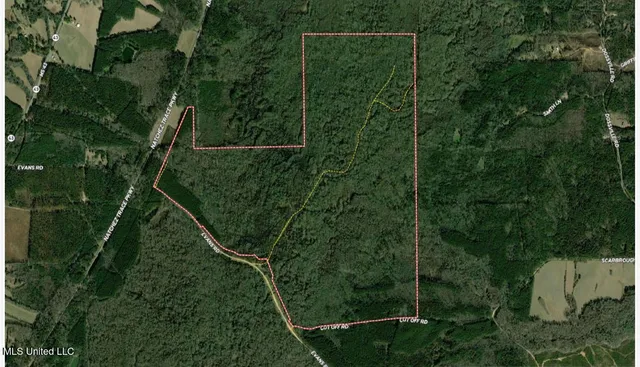 $1,870,000 | 2 Evans Road, Carthage, MS 39051