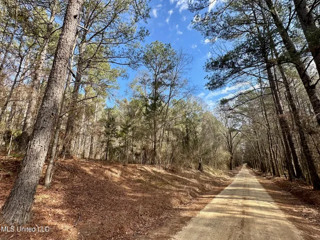 $1,870,000 | 2 Evans Road, Carthage, MS 39051