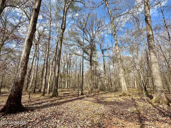 $1,870,000 | 2 Evans Road, Carthage, MS 39051