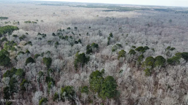 $1,870,000 | 2 Evans Road, Carthage, MS 39051