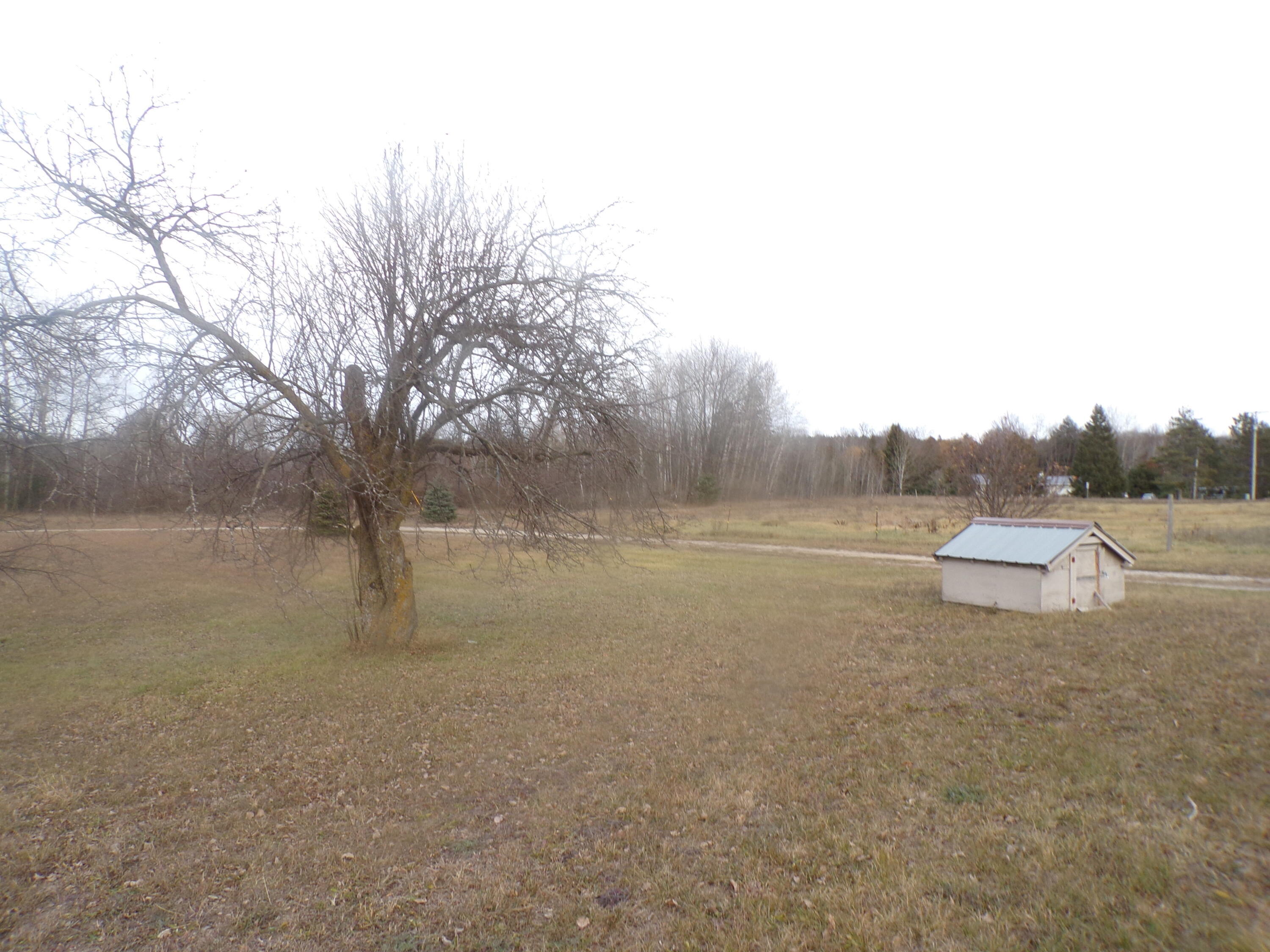 16251 Yates Road Copemish, MI 49625 - Photo 3 of 13 Yard with well house