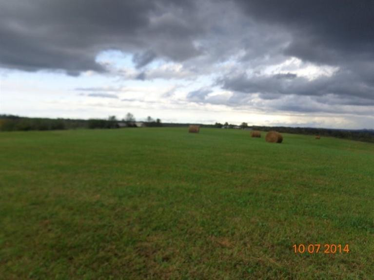 3125 Camargo Road Mount Sterling, KY 40353 - Photo 7 of 9 Photo 8