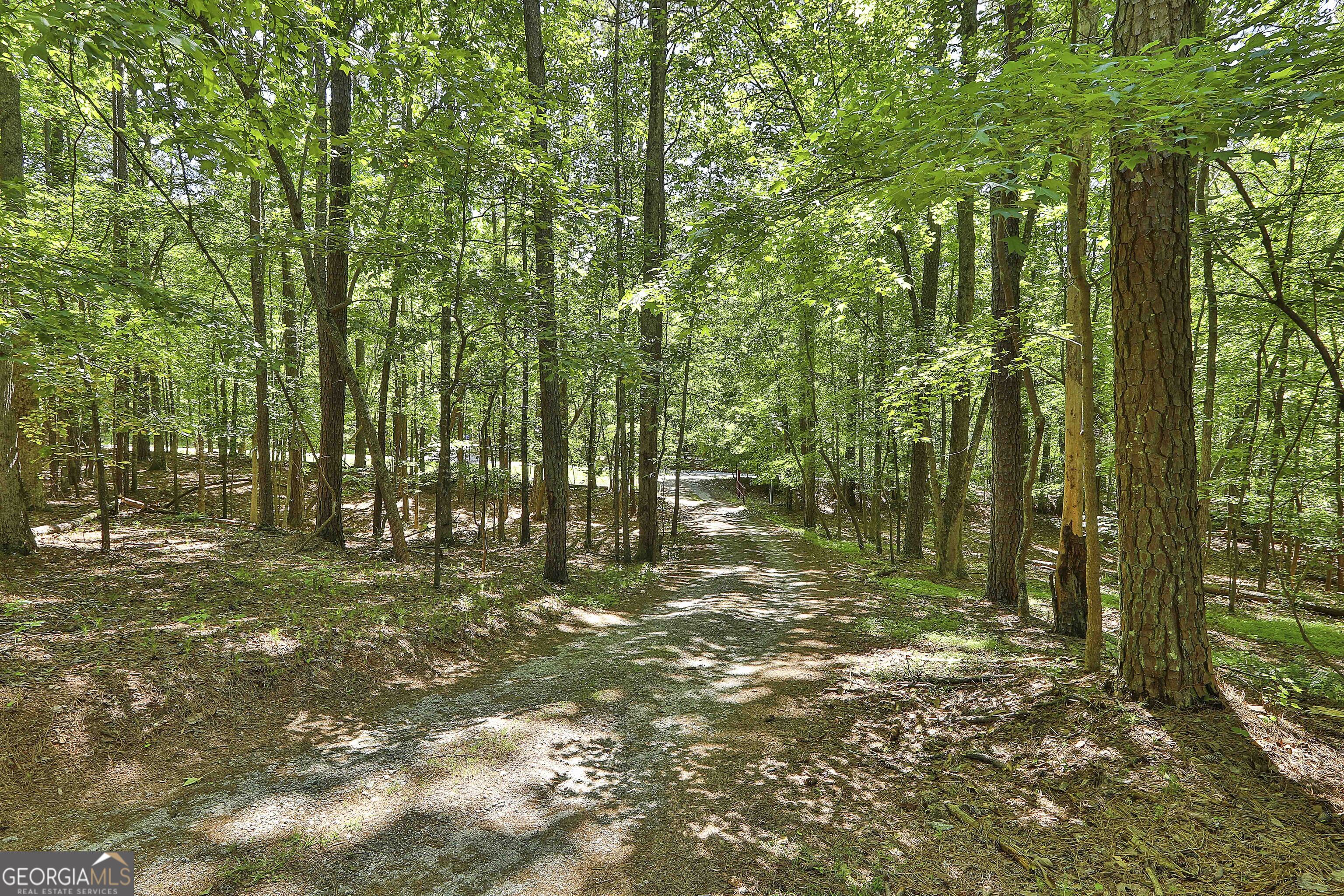 40 Tanglewood Road Newnan, GA 30263 - Photo 72 of 81