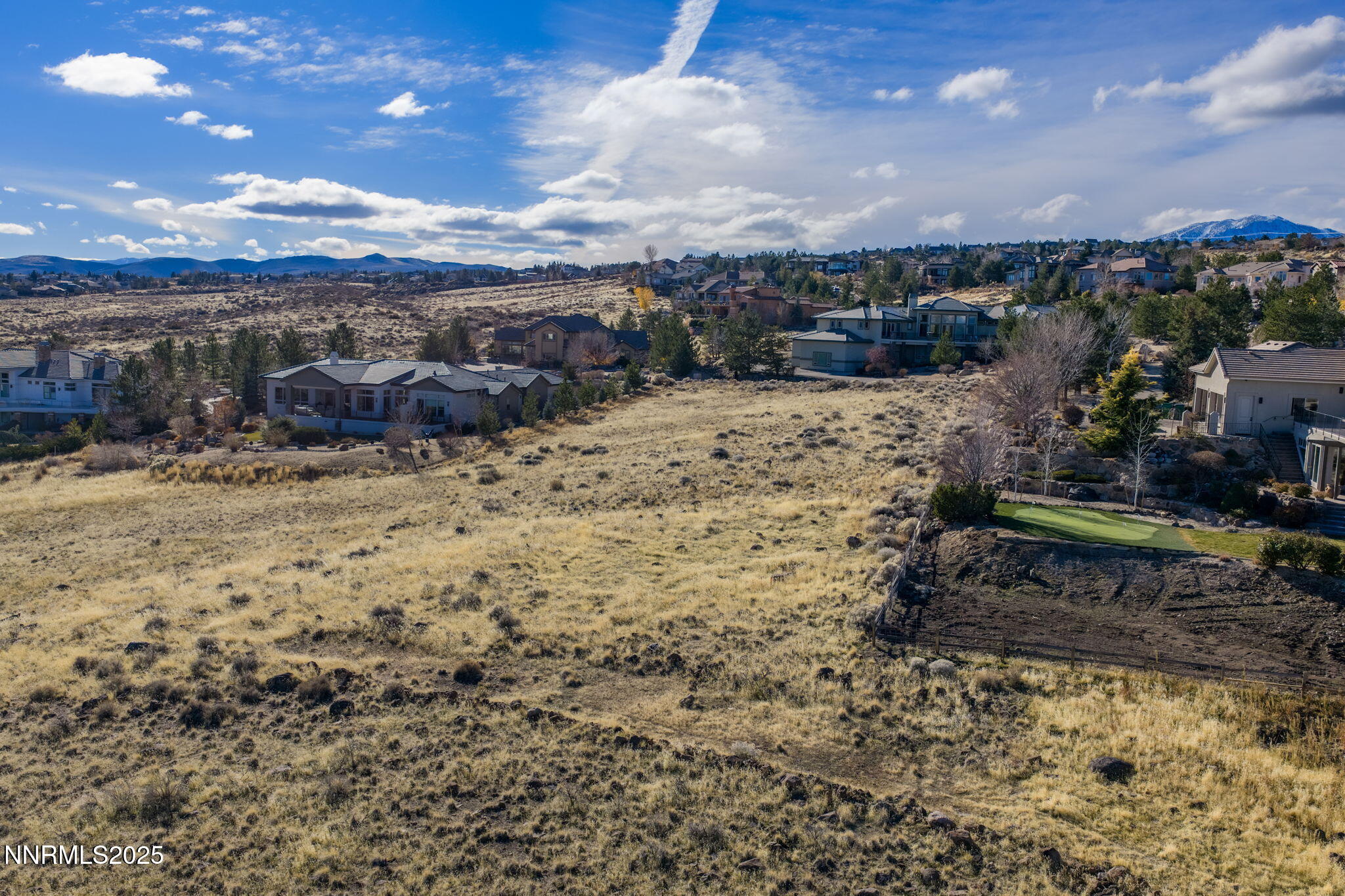 390 Questa Court Reno, NV 89511 - Photo 10 of 29 a view of a dry yard with lots of trees