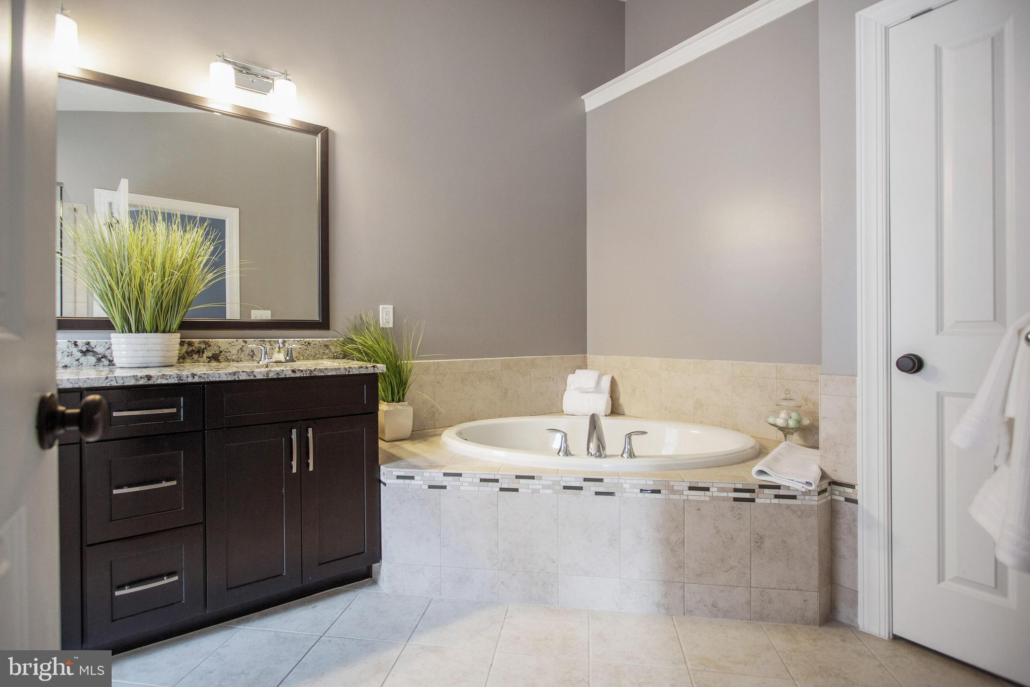 2503 Cherry Tree Road Hanover, MD 21076 - Photo 8 of 58 Soaking tub in Master Bath