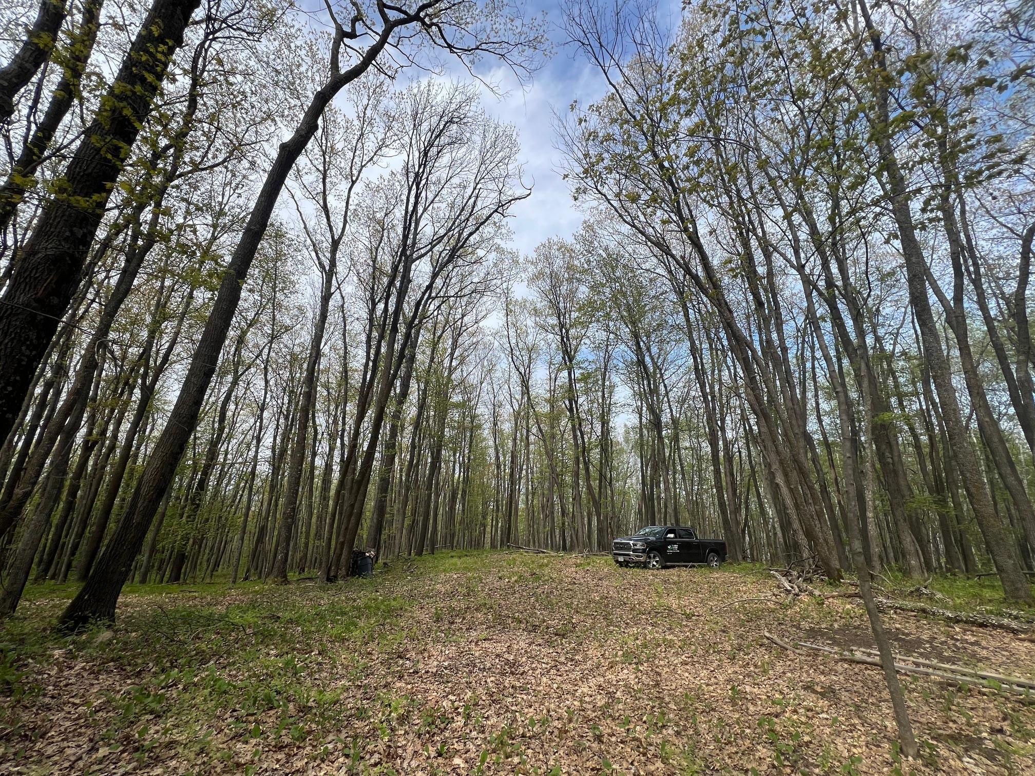 N8661 Sand Pit Road Trego, WI 54888 - Photo 6 of 20