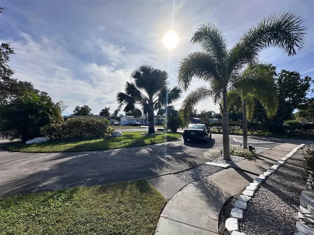 a view of a backyard with potted plants and palm trees