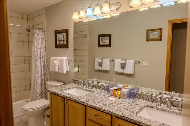 a bathroom with a granite countertop sink a toilet and shower curtain