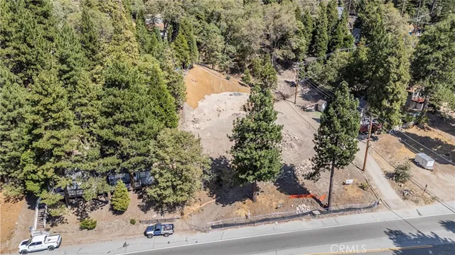 a view of a tree with a tree