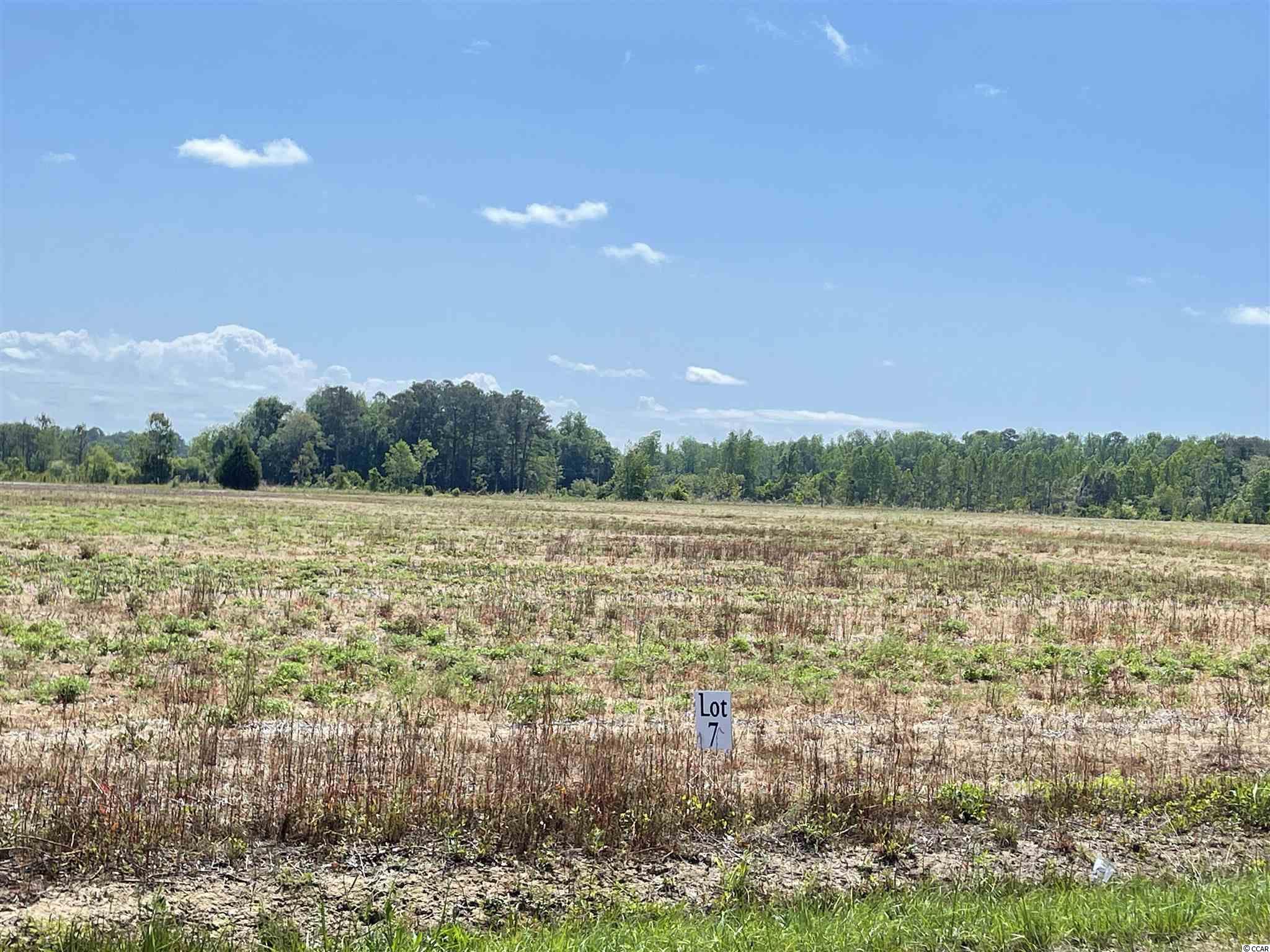 Lot 6 Pleasant Grove Road Loris, SC 29569 - Photo 2 of 10 Gallery Image 2