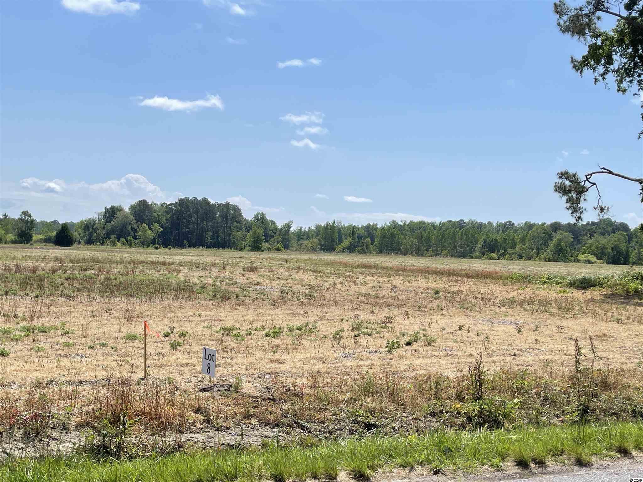 Lot 6 Pleasant Grove Road Loris, SC 29569 - Photo 3 of 10 Gallery Image 3
