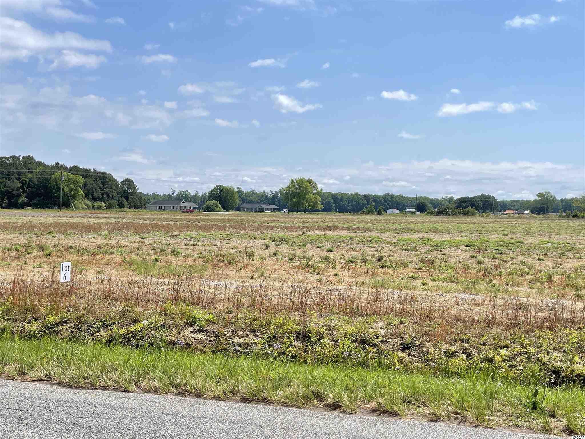 Lot 6 Pleasant Grove Road Loris, SC 29569 - Photo 4 of 10 Gallery Image 4