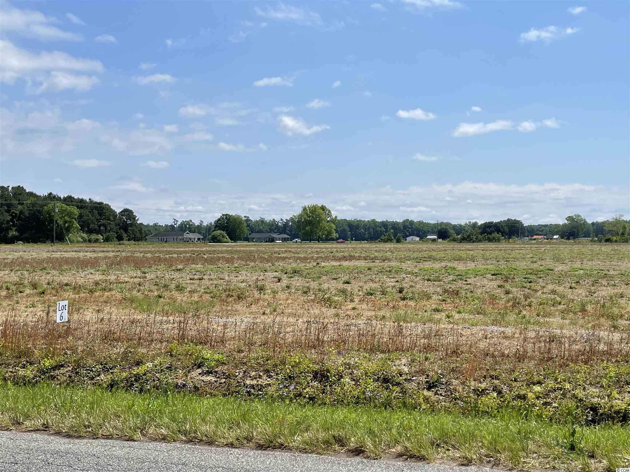 Lot 6 Pleasant Grove Road Loris, SC 29569 - Photo 7 of 10 Gallery Image 7
