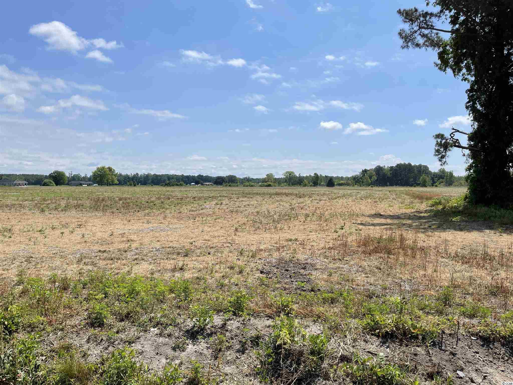 Lot 6 Pleasant Grove Road Loris, SC 29569 - Photo 8 of 10 Gallery Image 8