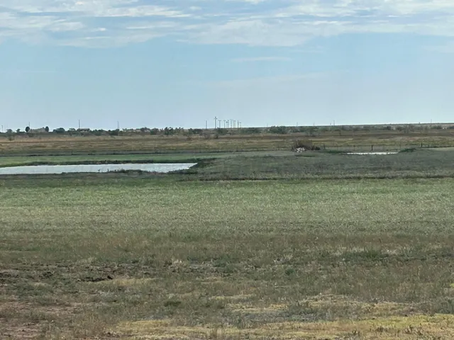 $100,000 | 0 South Fm 1258 - Williams, Amarillo, TX 79118