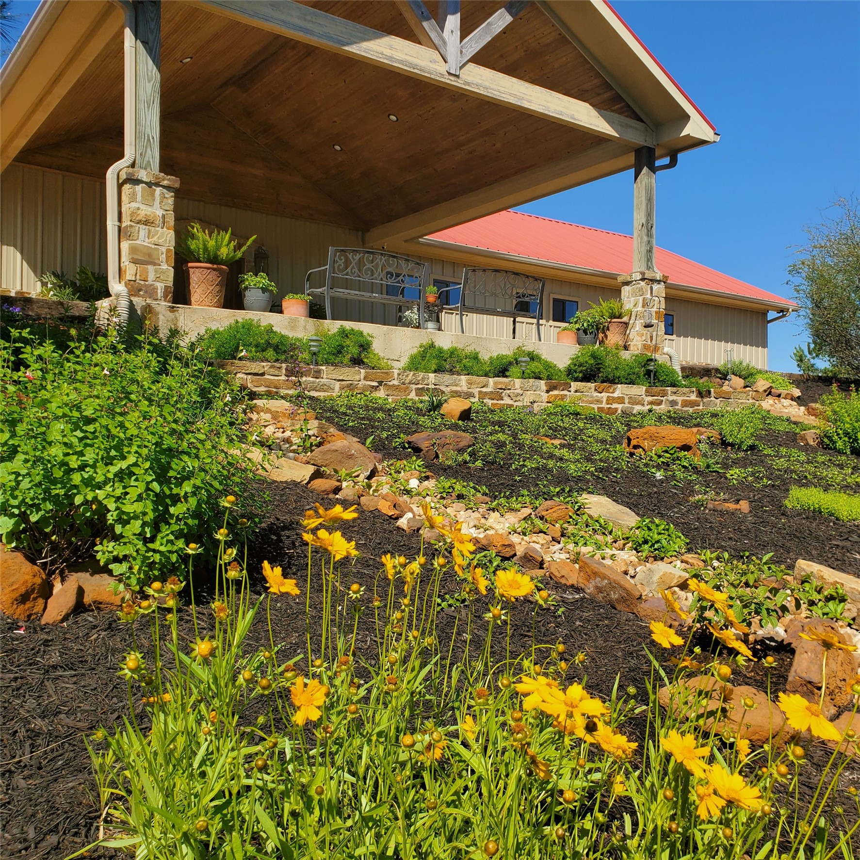 178 Pine Tree Loop Bastrop, TX 78602 - Photo 39 of 40 a view of a yard with plants